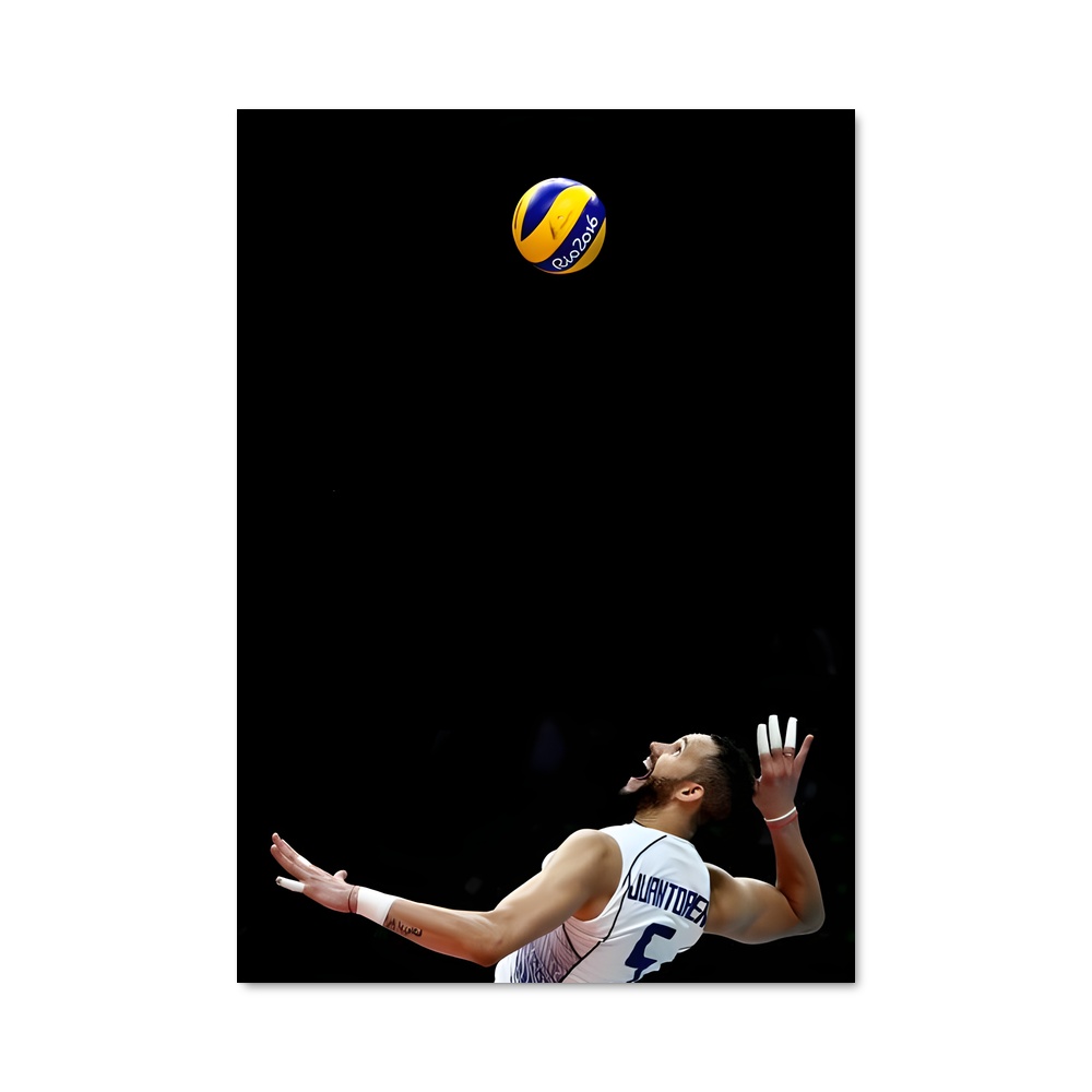 Poster Volée Éblouissante